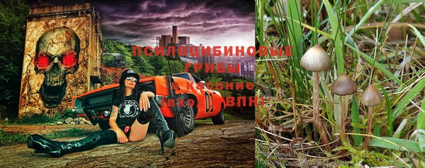 СК Кулебаки